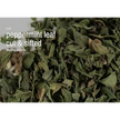 Bulk Herbs by the Half Ounce (.5 oz) - Peppermint - Herbs & Accessories