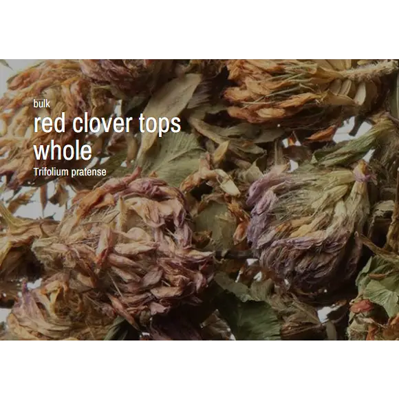 Bulk Herbs by the Half Ounce (.5 oz) - Red Cover Blossoms - Herbs & Accessories