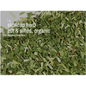 Bulk Herbs by the Half Ounce (.5 oz) - Skullcap Herb - Herbs & Accessories