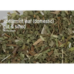 Bulk Herbs by the Half Ounce (.5 oz) - Spearmint - Herbs & Accessories