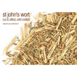 Bulk Herbs by the Half Ounce (.5 oz) - St John’s Wort - Herbs & Accessories