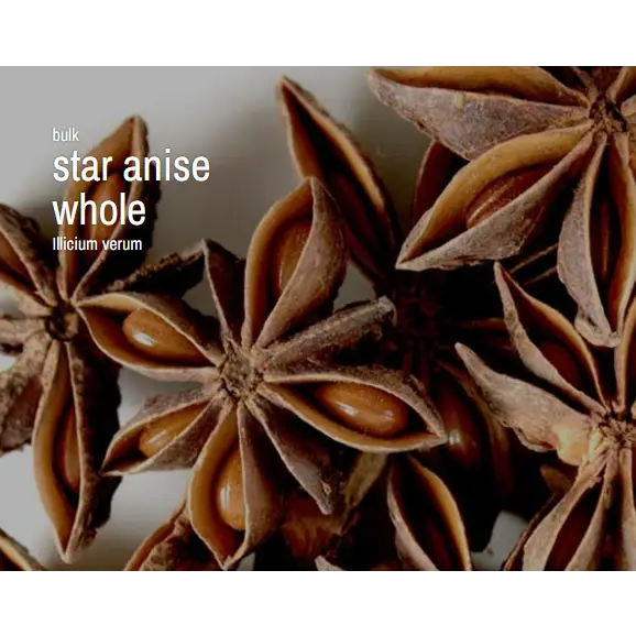 Bulk Herbs by the Half Ounce (.5 oz) - Star Anise - Herbs & Accessories