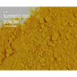 Bulk Herbs by the Half Ounce (.5 oz) - Turmeric - Herbs & Accessories
