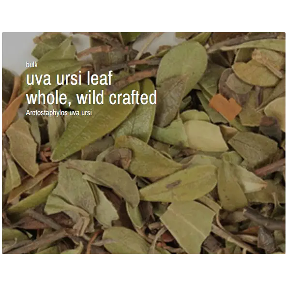 Bulk Herbs by the Half Ounce (.5 oz) - Uva Ursi leaf, whole, wild crafted - Herbs & Accessories