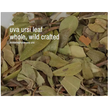 Bulk Herbs by the Half Ounce (.5 oz) - Uva Ursi leaf, whole, wild crafted - Herbs & Accessories