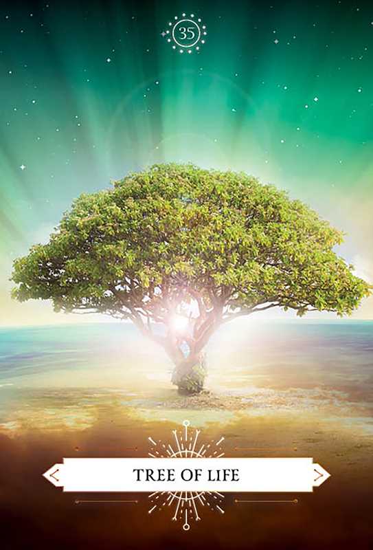 Psychic Reading Cards by Debbie Malone – 96 Pages (English)