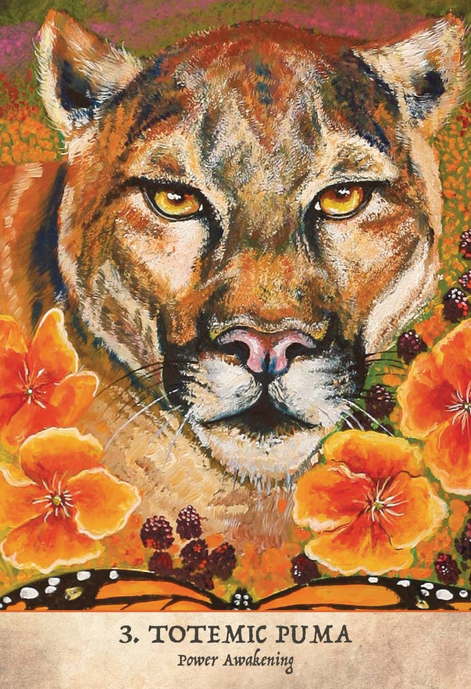 Earth Warriors Oracle (Second Edition) (Earth Warriors Oracle #1) – 44-Card Oracle Deck + Booklet – by Alana Fairchild and Isabel Bryna