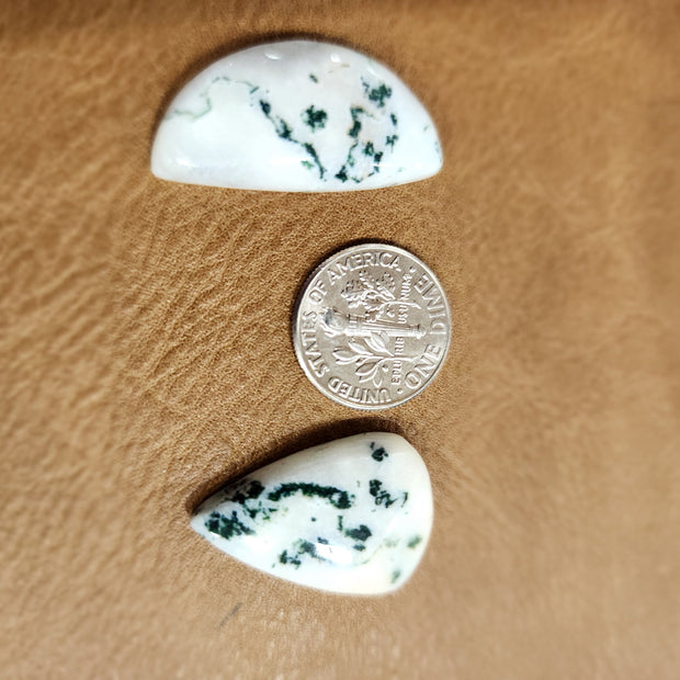 Cabochons for Jewelry Making - Tree Agate - Jewelry