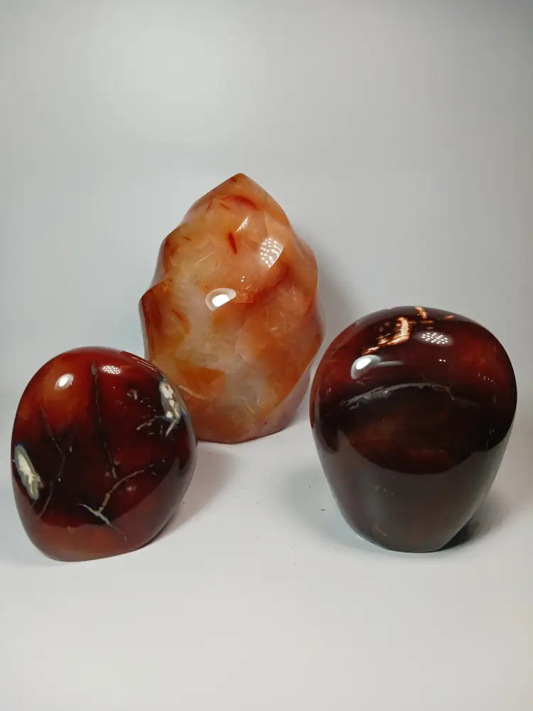 🔥✨ Carnelian Freeform – Motivation and Creative Energy ✨🔥 PALM