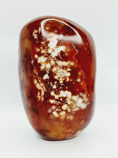🔥✨ Carnelian Freeform – Motivation and Creative Energy ✨🔥 - PALM