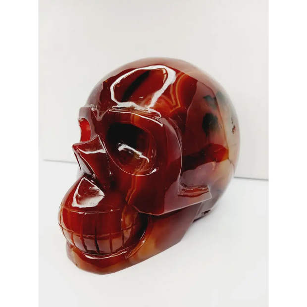 Carnelian skull with vibrant orange-red hues and natural banding, carved and displayed on a white background.