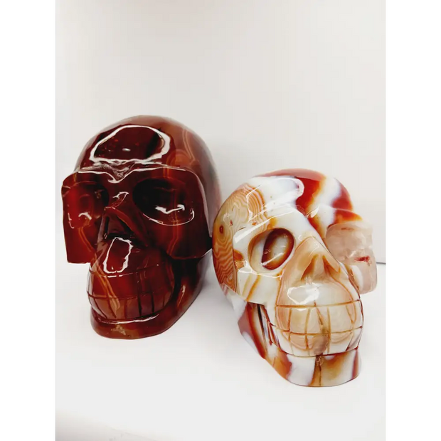 Carnelian skull with vibrant orange-red hues and natural banding, carved and displayed on a white background.