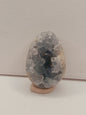 💎✨ Celestite Gemmy Specimen – Serenity Angelic Connection and Clarity ☁️ - 24 - 3’’ - Specimens