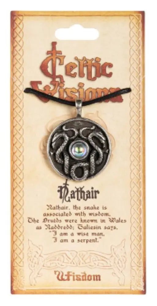 🍀✨ Celtic Visions Necklace and Pendant – Timeless Symbolism Ancestral Magic and Everyday Connection! 🌀 - Nathair