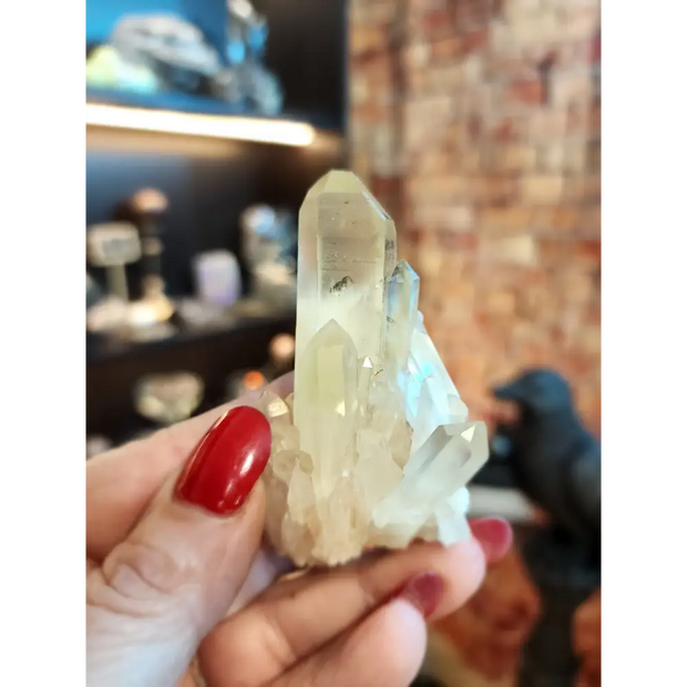 🌞✨ Citrine Cluster Crystal – Abundance Manifestation and Joy 💛 - Clusters - Specimens