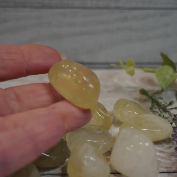 Citrine Tumbles - Tumbles