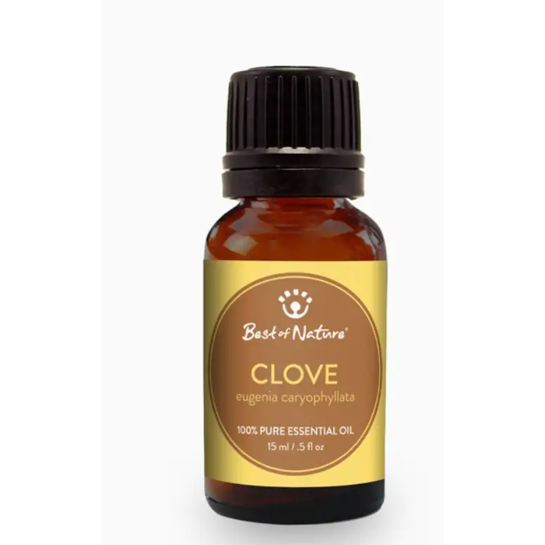 🌿Clove Essential Oil - 10ml🌿 - Oils & Diffusers