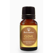 🌿Clove Essential Oil - 10ml🌿 - Oils & Diffusers