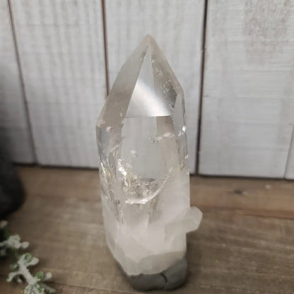 🔮✨ Columbian AAA Grade Lemurian Seed Crystals (2.5’’–3’’) – Ancient Wisdom High Vibration and Soul Connection! 🌟 - 25