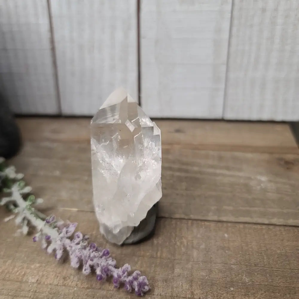 🔮✨ Columbian AAA Grade Lemurian Seed Crystals (2.5’’–3’’) – Ancient Wisdom High Vibration and Soul Connection! 🌟