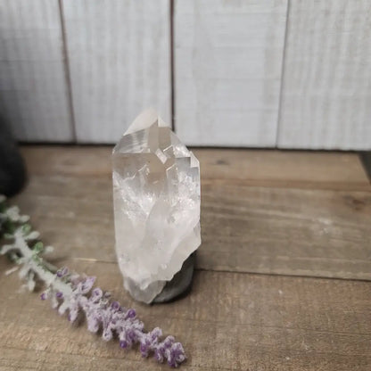 🔮✨ Columbian AAA Grade Lemurian Seed Crystals (2.5’’–3’’) – Ancient Wisdom High Vibration and Soul Connection! 🌟