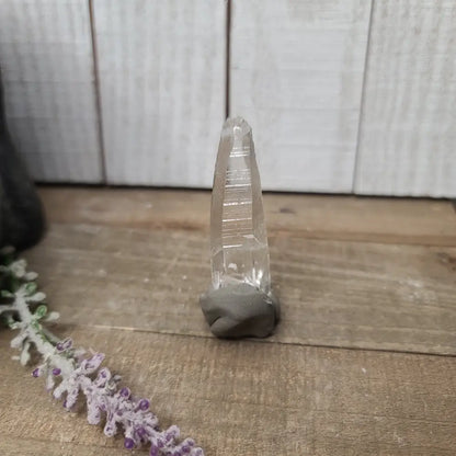 🔮✨ Columbian AAA Grade Lemurian Seed Crystals (2.5’’–3’’) – Ancient Wisdom High Vibration and Soul Connection! 🌟 - 7