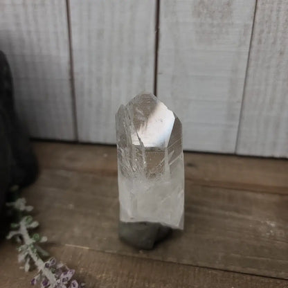 🔮✨ Columbian AAA Grade Lemurian Seed Crystals (2.5’’–3’’) – Ancient Wisdom High Vibration and Soul Connection! 🌟 - 19