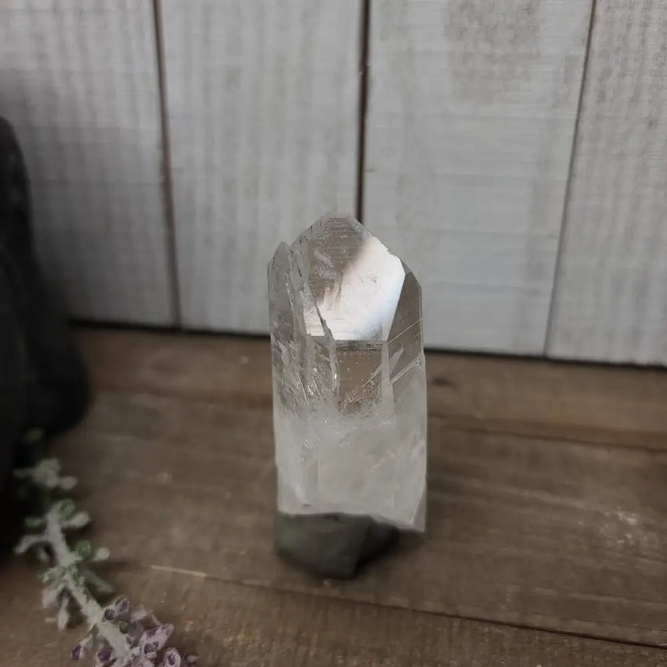 🔮✨ Columbian AAA Grade Lemurian Seed Crystals (2.5’’–3’’) – Ancient Wisdom High Vibration and Soul Connection! 🌟 - 19
