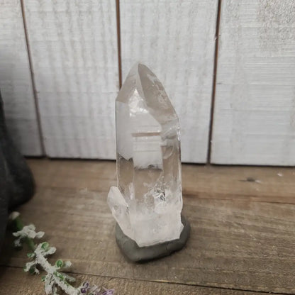 🔮✨ Columbian AAA Grade Lemurian Seed Crystals (2.5’’–3’’) – Ancient Wisdom High Vibration and Soul Connection! 🌟 - 23
