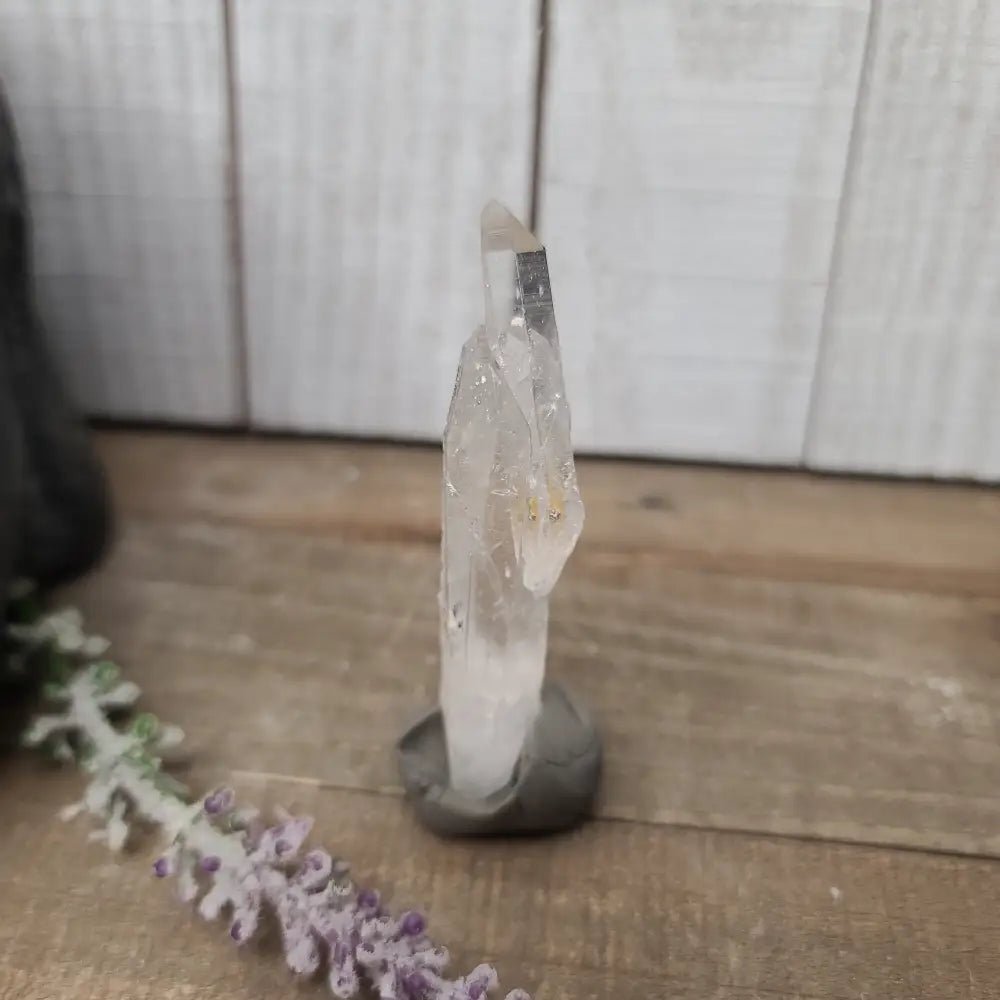 🔮✨ Columbian AAA Grade Lemurian Seed Crystals (2.5’’–3’’) – Ancient Wisdom High Vibration and Soul Connection! 🌟 - 11