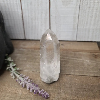 🔮✨ Columbian AAA Grade Lemurian Seed Crystals (2.5’’–3’’) – Ancient Wisdom High Vibration and Soul Connection! 🌟 - 18