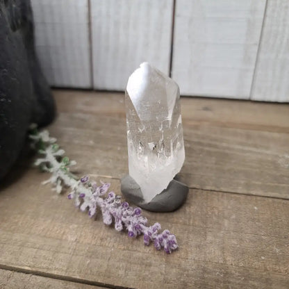 🔮✨ Columbian AAA Grade Lemurian Seed Crystals (2.5’’–3’’) – Ancient Wisdom High Vibration and Soul Connection! 🌟 - 13