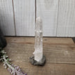 🔮✨ Columbian AAA Grade Lemurian Seed Crystals (2.5’’–3’’) – Ancient Wisdom High Vibration and Soul Connection! 🌟 - 10