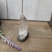 🔮✨ Columbian AAA Grade Lemurian Seed Crystals (2.5’’–3’’) – Ancient Wisdom High Vibration and Soul Connection! 🌟 - 9