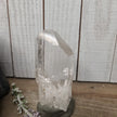 🔮✨ Columbian AAA Grade Lemurian Seed Crystals (2.5’’–3’’) – Ancient Wisdom High Vibration and Soul Connection! 🌟 - 26
