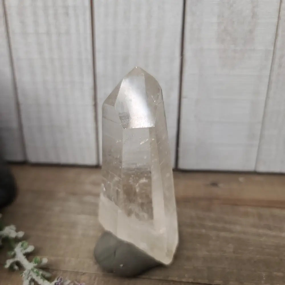 🔮✨ Columbian AAA Grade Lemurian Seed Crystals (2.5’’–3’’) – Ancient Wisdom High Vibration and Soul Connection! 🌟 - 24