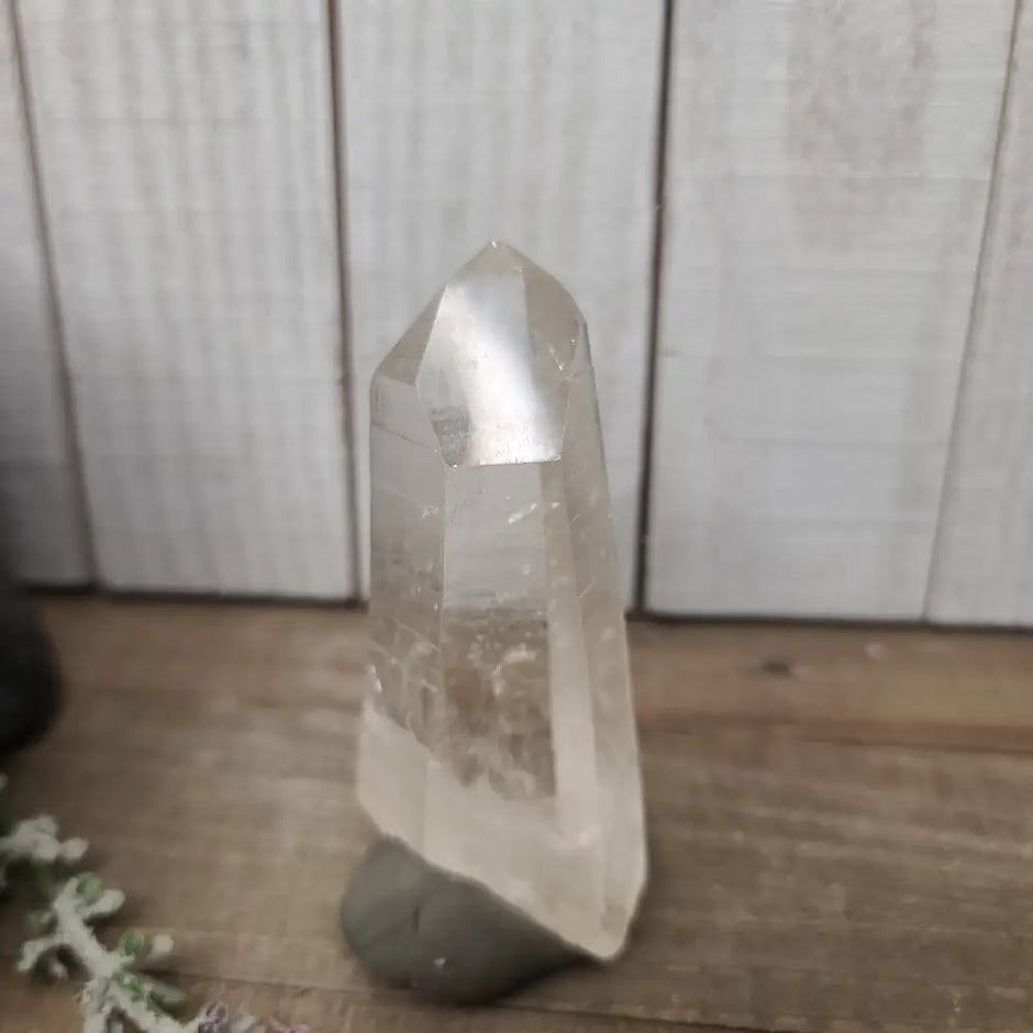🔮✨ Columbian AAA Grade Lemurian Seed Crystals (2.5’’–3’’) – Ancient Wisdom High Vibration and Soul Connection! 🌟 - 24