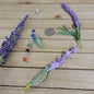 CONE PENDULUM W/CHAKRA CHAIN - GREEN AVENTURINE - Pendulums & Mats
