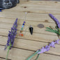 CONE PENDULUM W/CHAKRA CHAIN - SHUNGITE - Pendulums & Mats