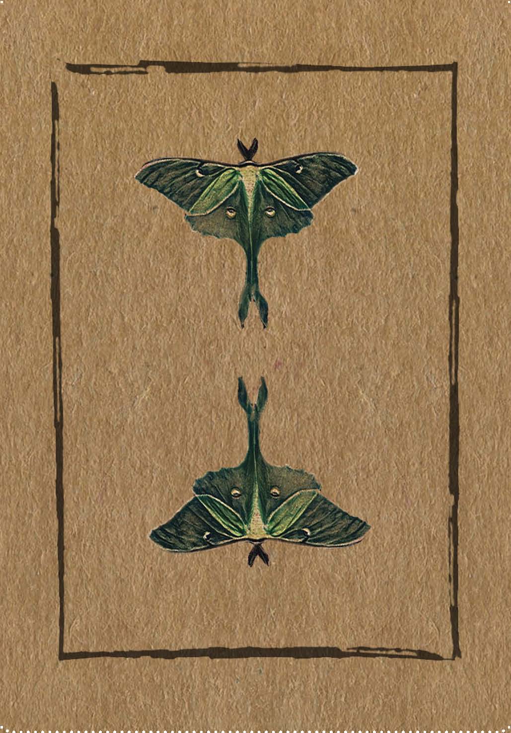 Conjure Cards: Fortune-Telling Card Deck and Guidebook - Tarot Decks & Divination