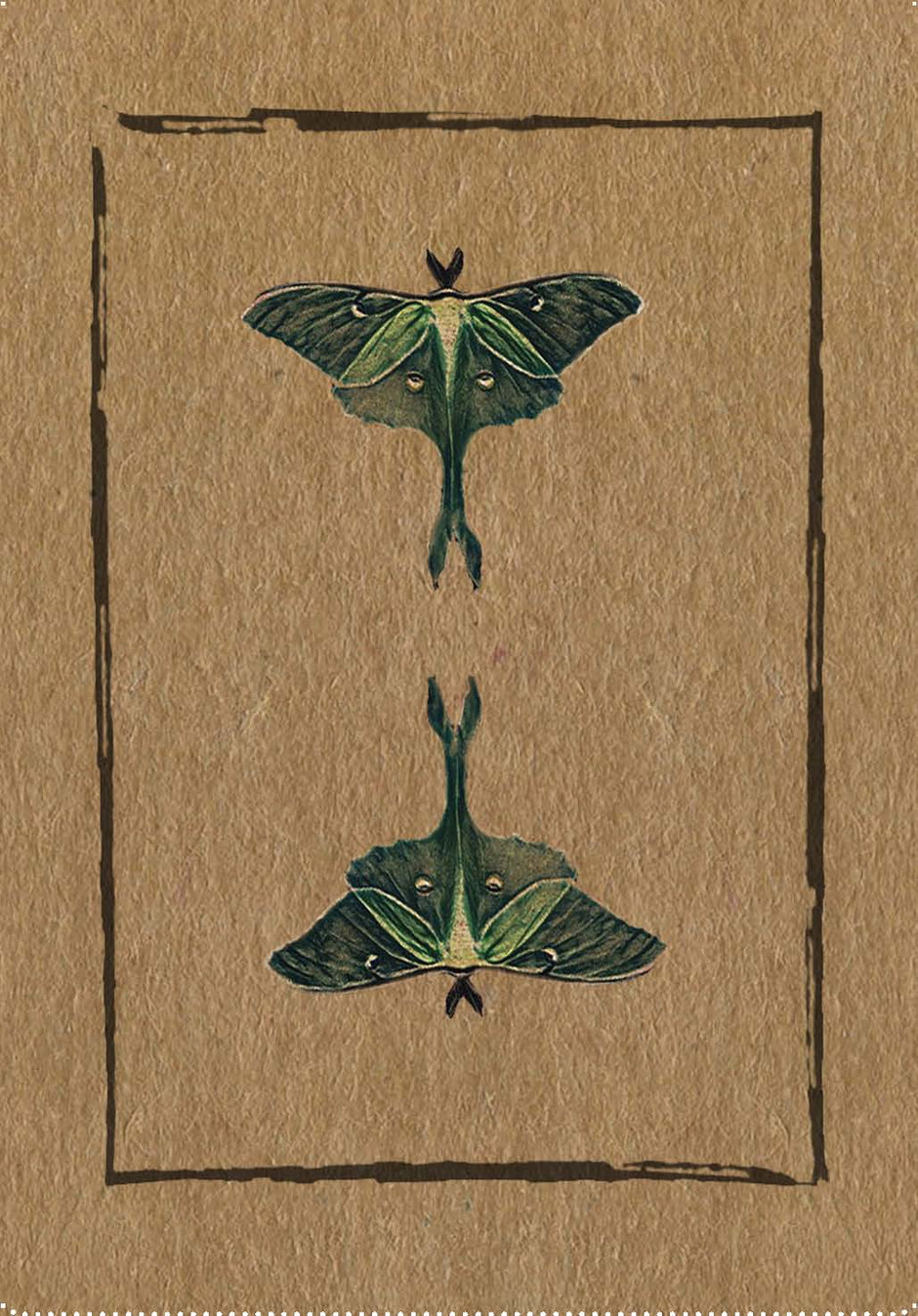 Conjure Cards: Fortune-Telling Card Deck and Guidebook - Tarot Decks & Divination