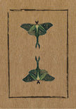 Conjure Cards: Fortune-Telling Card Deck and Guidebook - Tarot Decks & Divination