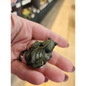 🐟✨ Crystal Koi Collection (2’’) – Abundance Transformation & Good Fortune! 💎 - Gold Sheen Obsidian - Carvings