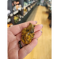 🐟✨ Crystal Koi Collection (2’’) – Abundance Transformation & Good Fortune! 💎 - Tigers Eye - Carvings