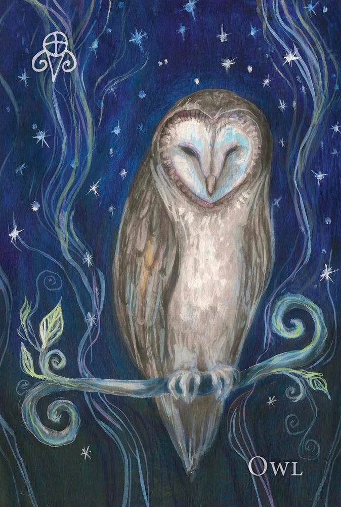 A Witch’s Ally Animal Familiars Oracle Deck – 48 Cards + Booklet – by Dodie Graham McKay and Laura Tempest Zakroff