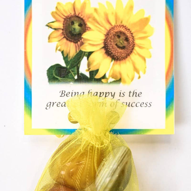 Happiness Crystal Healing Bag (Yellow Onyx, Peach Aventurine, Indian Agate + Clear Quartz)