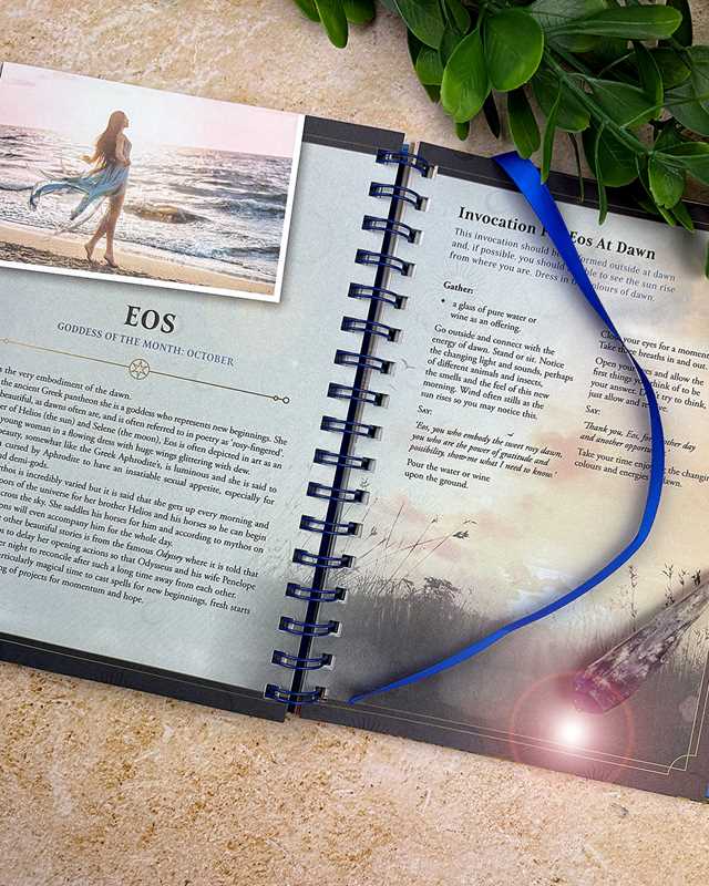 2027 Lunar and Seasonal Planner Calendar - Northern Hemisphere by Stacey  Demarco: Calendar; 216 pages / English