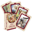 Spirit of the Drum Oracle by Barbara Meiklejohn-Free – 136 Pages (English)