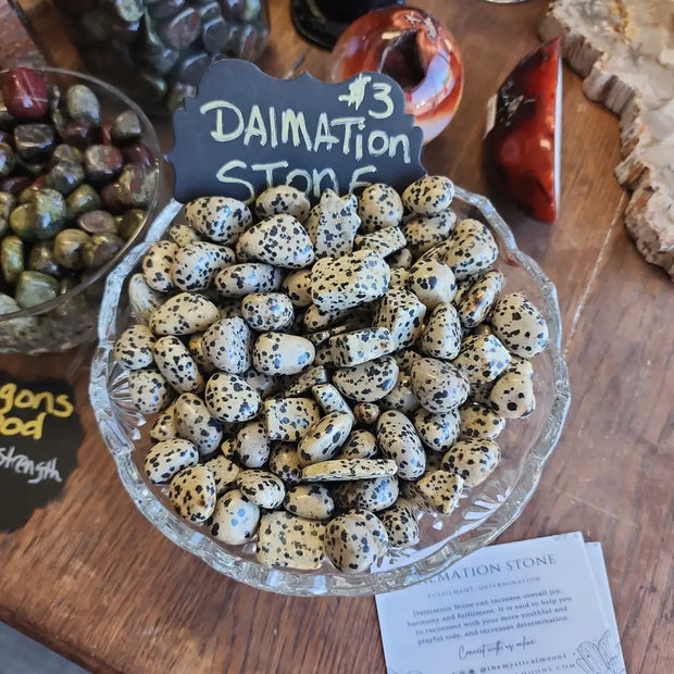 Dalmation Stone Tumble - Tumbles