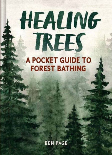 Healing Trees – Mindful Walks for Peace, Presence, and Well-Being